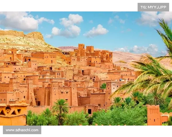 摩洛哥甲拉贾卡萨布兰卡创历史突破成功晋级非洲冠军联赛四强 摩洛哥甲拉贾卡萨布兰卡创历史突破成功晋级非洲冠军联赛四强